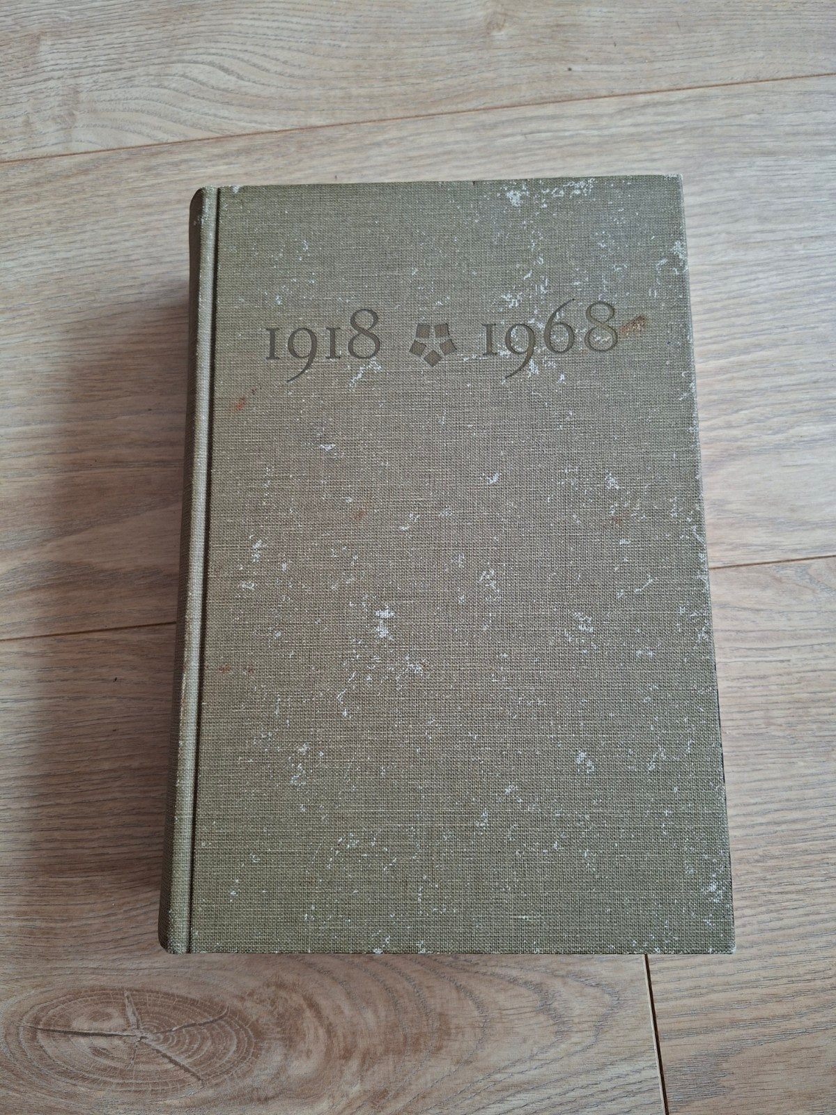 Hoogovens IJmuiden 1918-1968 - Geschiedenis, Ophalen of Verzenden, 20e eeuw of later, Gelezen, Prof. dr. Joh. de Vries