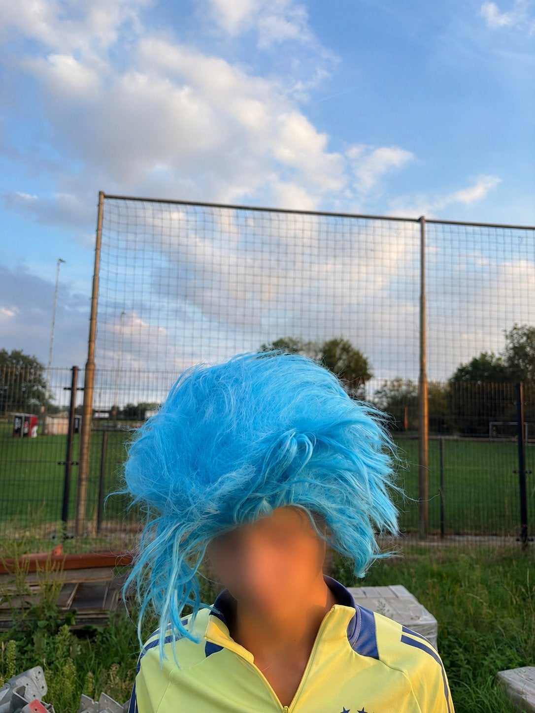 10x Blauwe Carnavals Pruik - Feestpruik, Ophalen of Verzenden, Nieuw, Hoed of Pruik, Carnaval