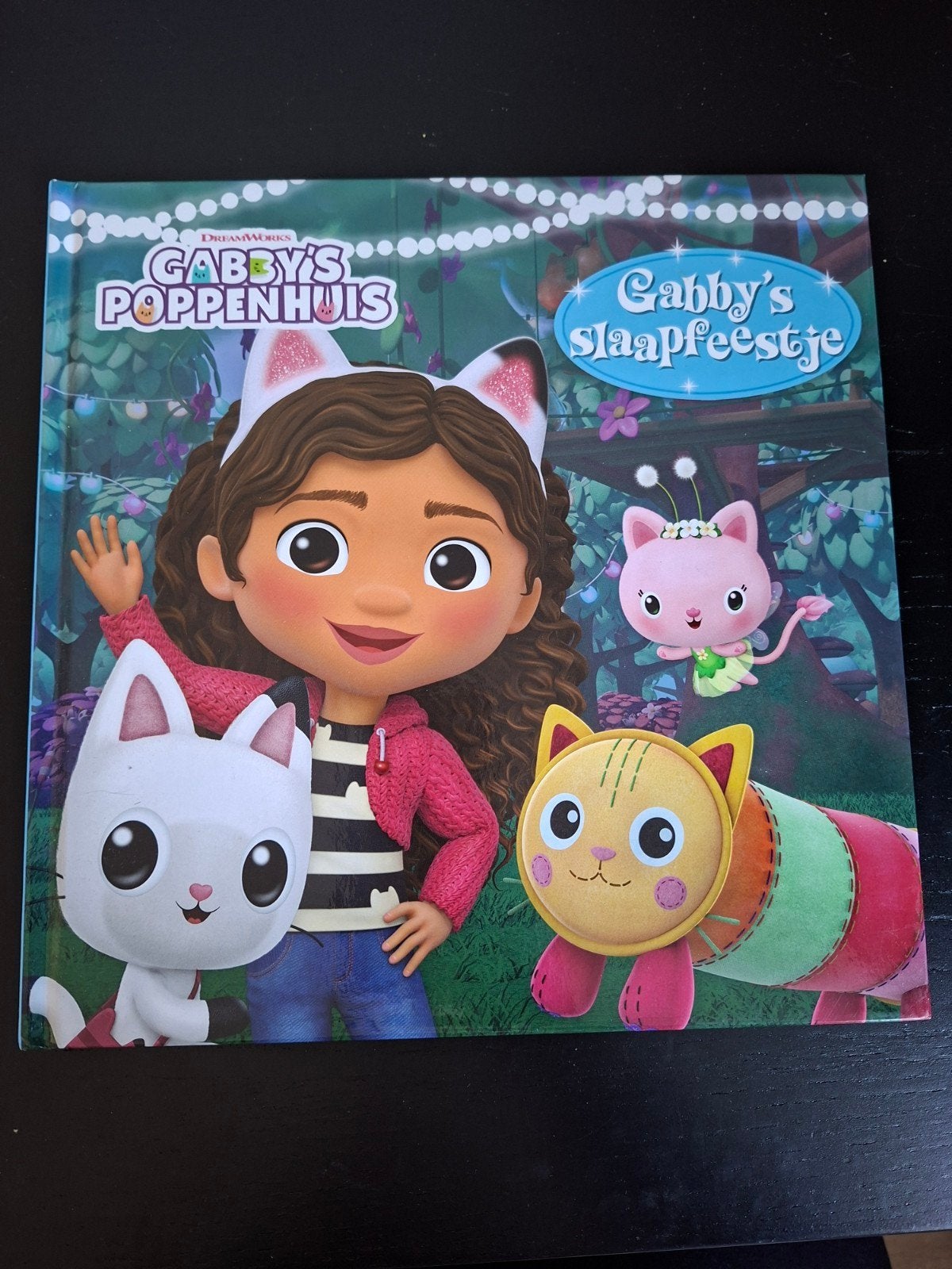 Gabby's Poppenhuis: Gabby's Slaapfeestje Boek, Ophalen of Verzenden, Gelezen, DreamWorks Animation, 3 tot 4 jaar