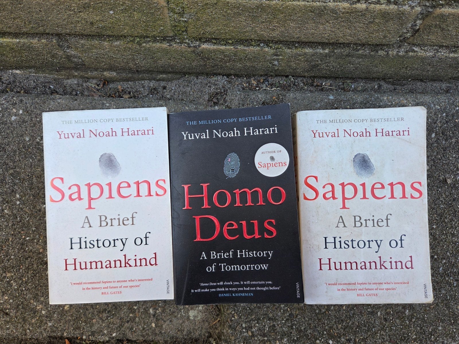homo sapiens en homo deus, Ophalen of Verzenden