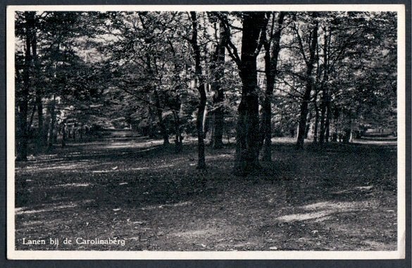 Dieren, Lanen bij de Carolinaberg. 1961., Ophalen of Verzenden, 1960 tot 1980, Gelopen, Gelderland