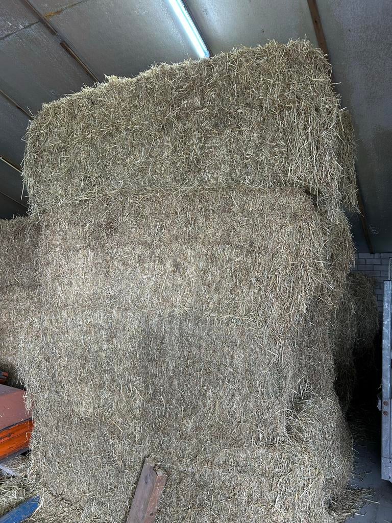 Hooi 2e snee voor paarden of jongvee - 10 pakken, Ophalen of Verzenden