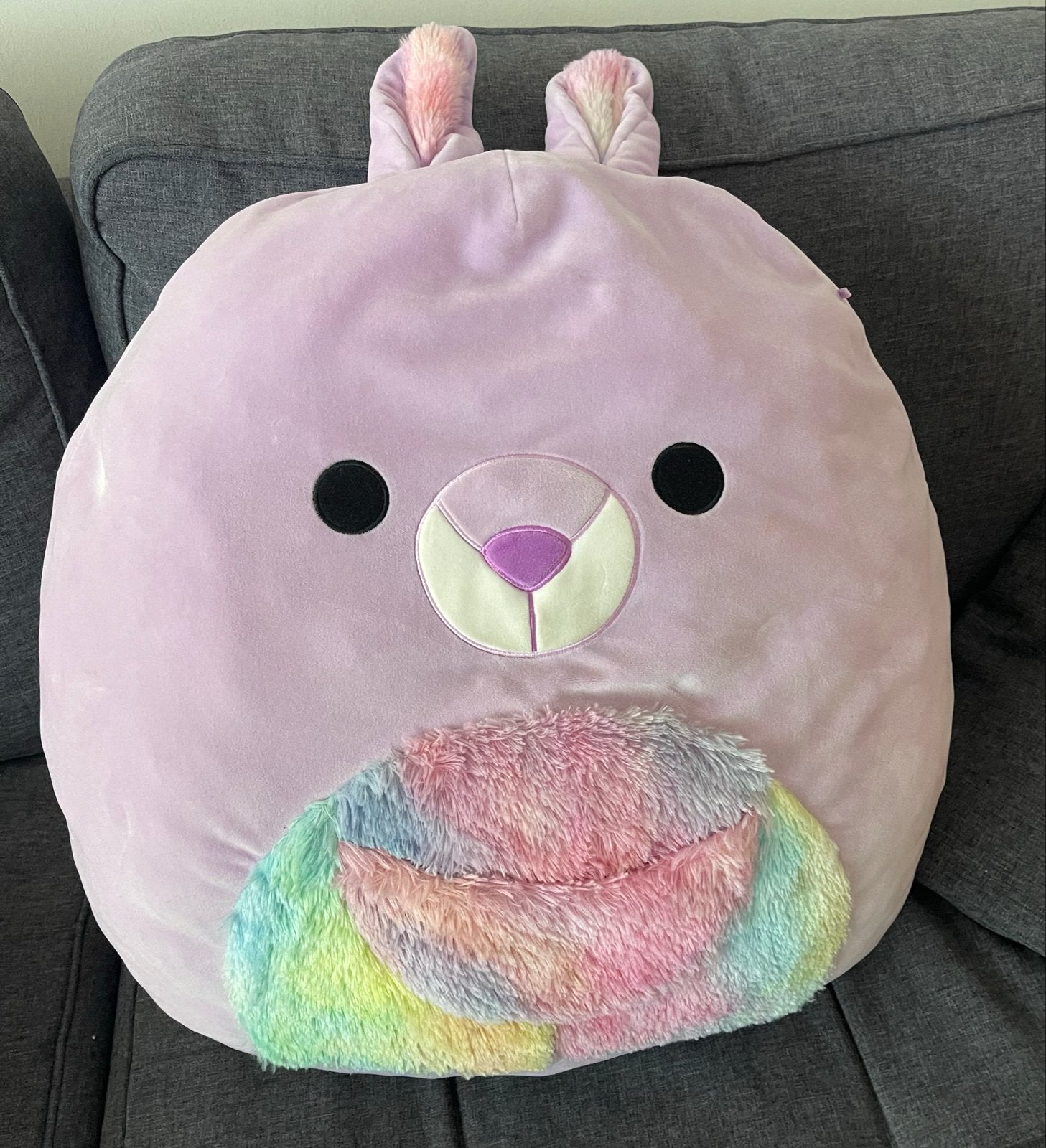 Squishmallow konijn paars met regenboogbuik, Konijn, Middelgroot (20 tot 80 cm), Squishmallow, Ophalen