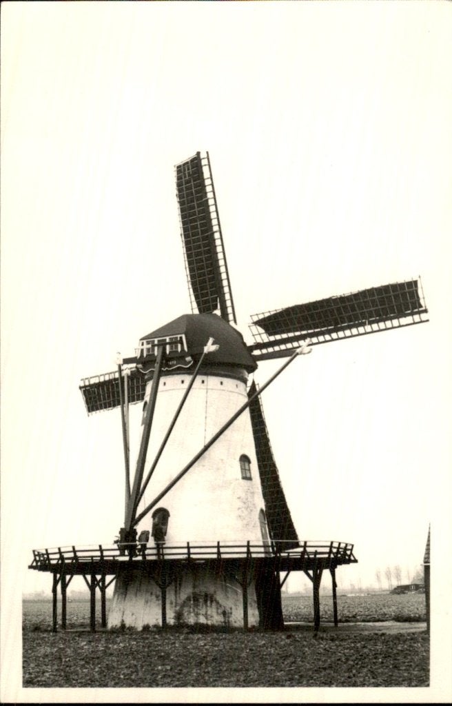 Scherpenisse - Molen - De Korenbloem, Verzamelen, Ansichtkaarten | Nederland, Ophalen of Verzenden, 1940 tot 1960, Gelopen, Zeeland