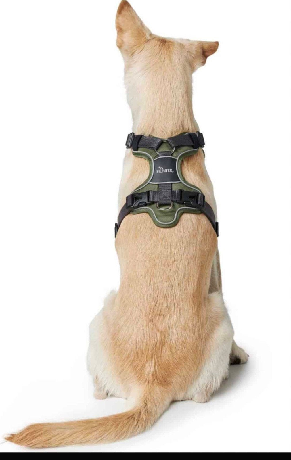 Hondentuig merk Hunter, zwart, voor hond maximaal 25 kilo, Ophalen of Verzenden, Zo goed als nieuw, Hondenriem-accessoire