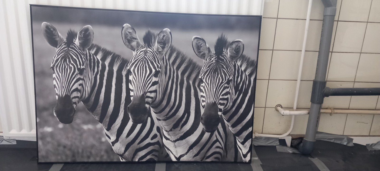 Groot Canvas Schilderij Zwart-Wit Zebra's - 100x70 cm, Ophalen, Doek, Realistisch, Dieren
