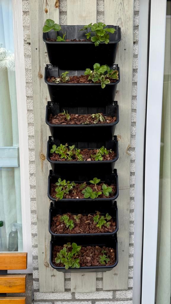 Verticale plantenbakken voor aardbeien of kruiden, Tuin en Terras, Bloembakken en Plantenbakken, Kunststof, Minder dan 30 cm, Balkon