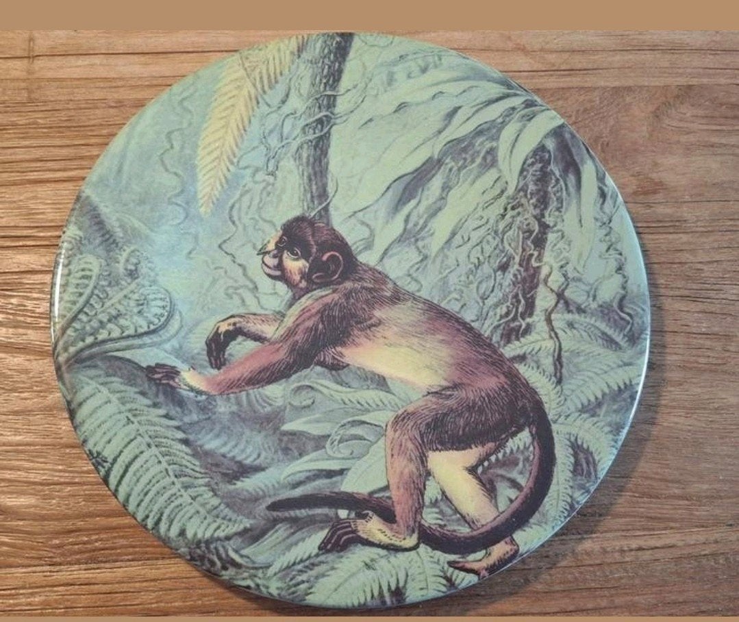 Jungle bord met aapje, Ophalen, Groen, Overige stijlen, Zo goed als nieuw