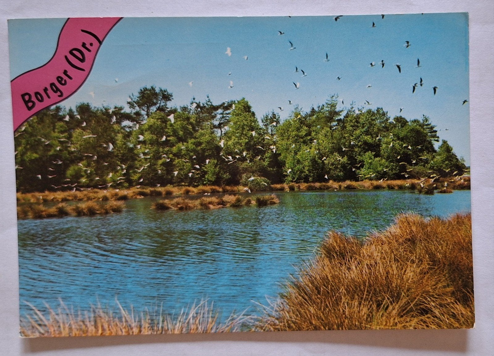 Oude ansichtkaart Borger (Dr.) - Meer met vogels, Ophalen of Verzenden, 1960 tot 1980, Ongelopen, Drenthe