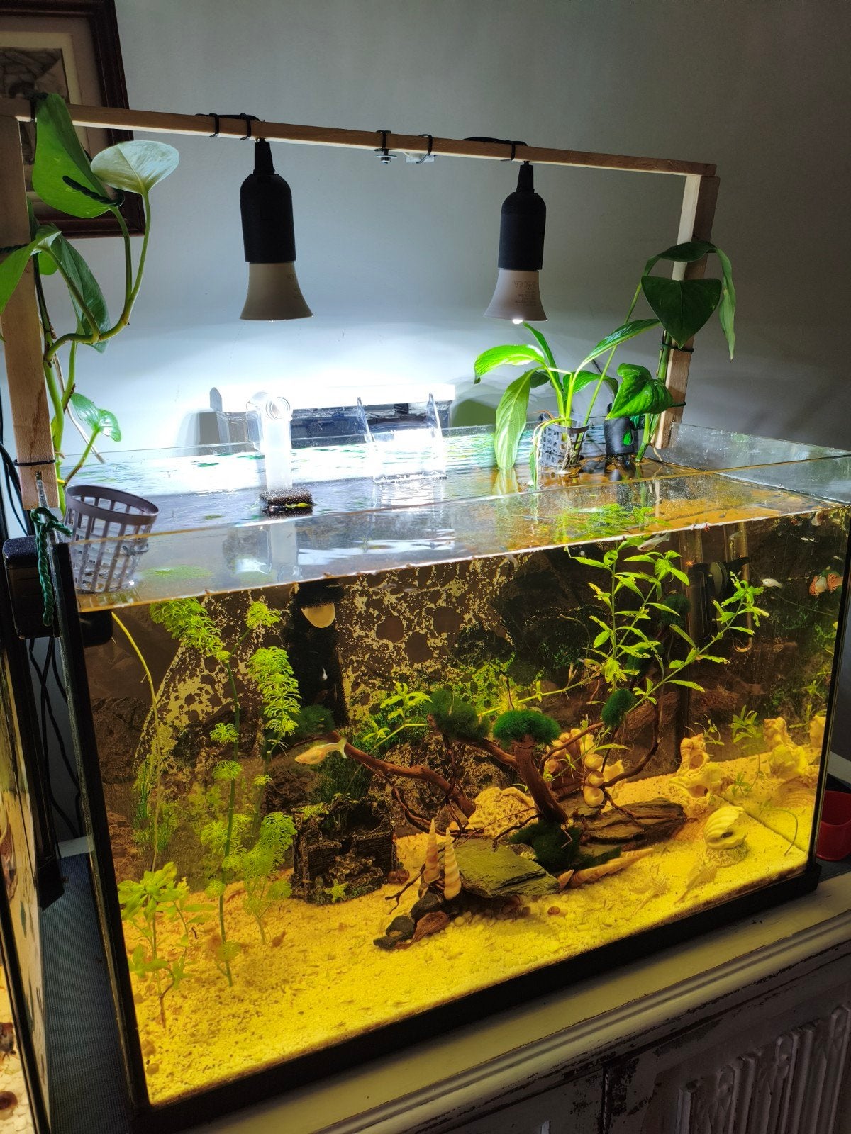 Fish tank, Ophalen, Leeg aquarium