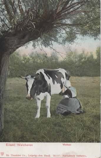Zeeland 12 klederdrachten melken op Walcheren, Verzenden, Voor 1920, Ongelopen, Zeeland