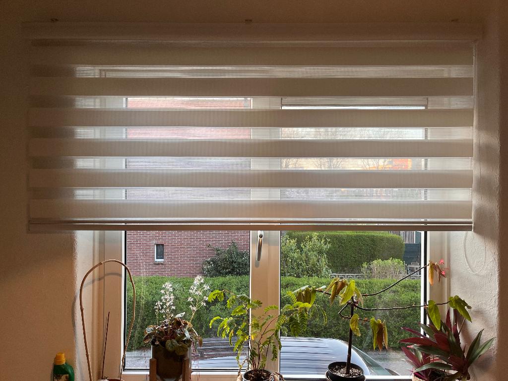 Rolgordijn duo, Ophalen, Gebruikt, Wit, 150 tot 200 cm