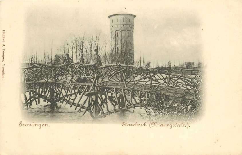 300-085-009 Groningen Sterrebosch, Verzamelen, Ophalen of Verzenden, Voor 1920, Groningen