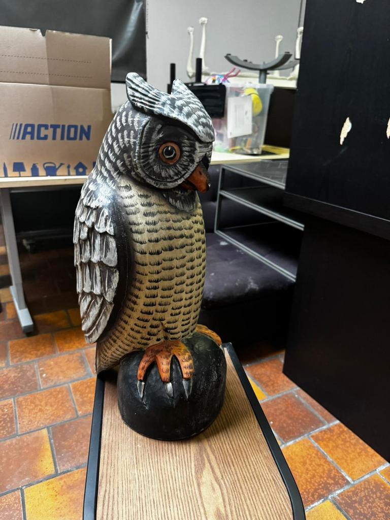 Houtgesneden uil – decoratie of vogelverschrikker, Tuin en Terras, Tuinbeelden, Ophalen of Verzenden, Zo goed als nieuw, Hout