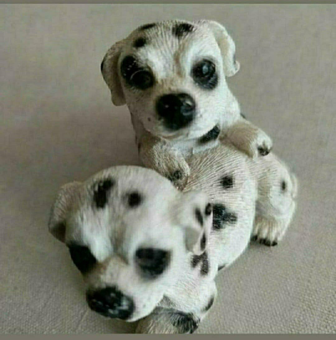 Hondjes,Dalmatiërs,2 stuks,Hond,wit,zwart,beeldje, Ophalen of Verzenden, Nieuw, Dier
