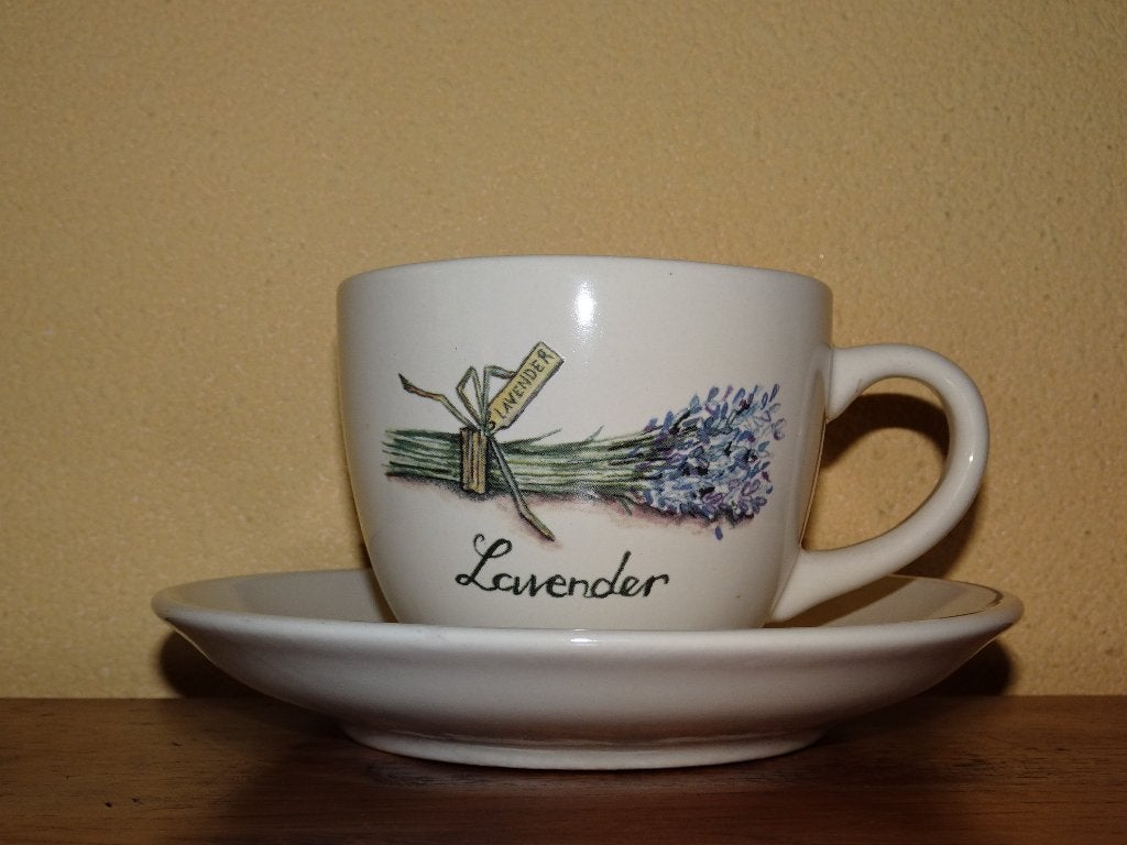 Jet ter Steege Lavender kop en schotel, Huis en Inrichting, Keuken | Servies, Ophalen of Verzenden, Zo goed als nieuw, Overige stijlen