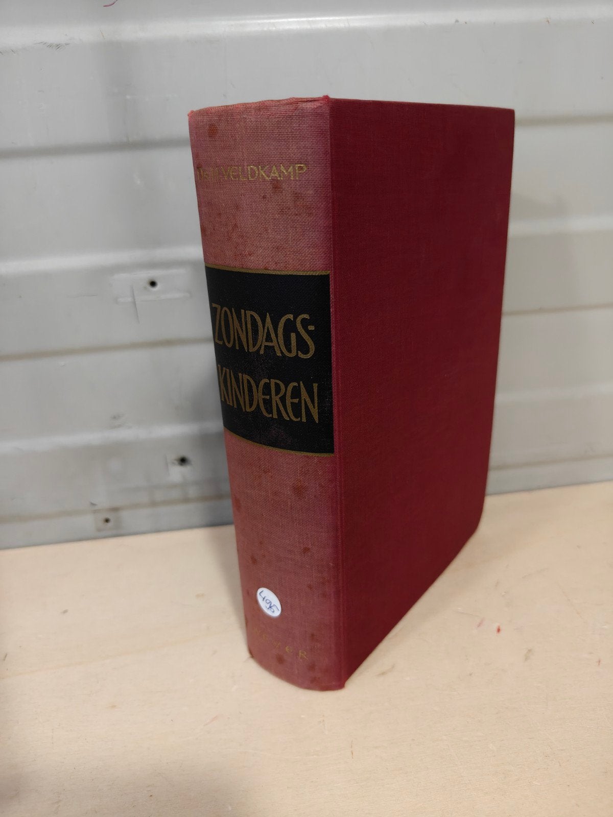 Nr. 495 H. Veldkamp: Zondagskinderen, Boeken, Ophalen of Verzenden, Gelezen, H. Veldkamp, Christendom | Protestants