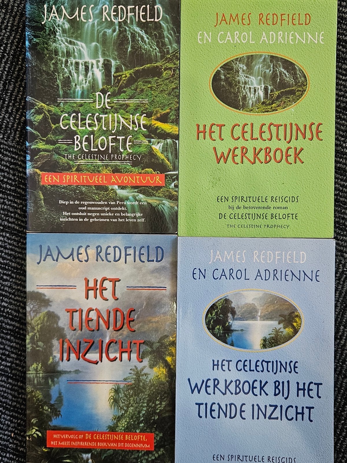 James Redfield - De Celestijnse Belofte & Het Tiende Inzicht, Ophalen of Verzenden, Gelezen, James Redfield en Carol Adrienne