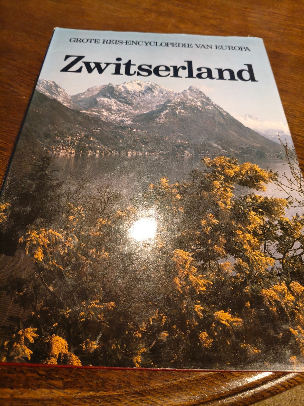 Grote Reis-Encyclopedie van Europa: Zwitserland, Boeken, Europa, Ophalen of Verzenden, Reisgids of -boek, Gelezen
