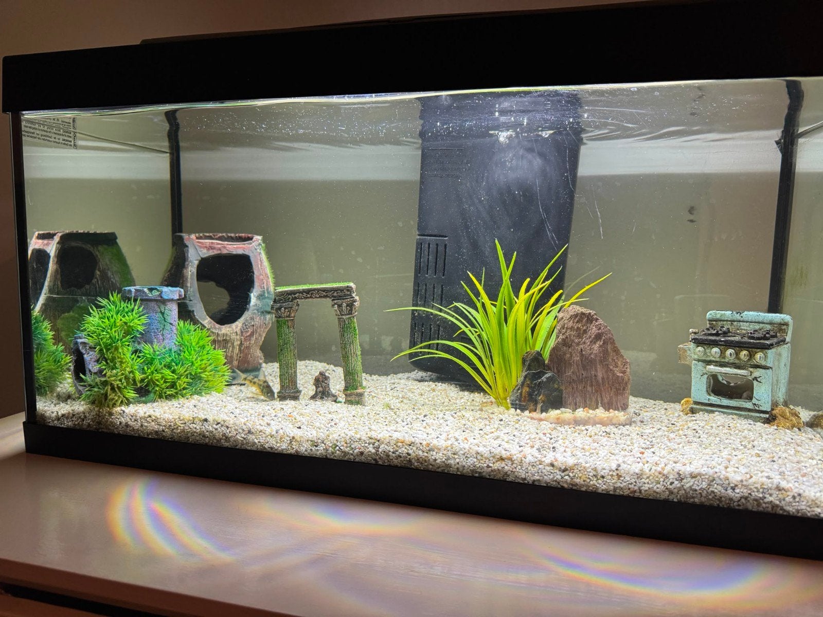 volledig aquarium, Ophalen of Verzenden