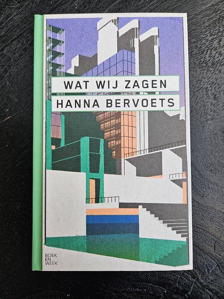 Hanna Bervoets - wat wij zagen, Ophalen of Verzenden, Gelezen