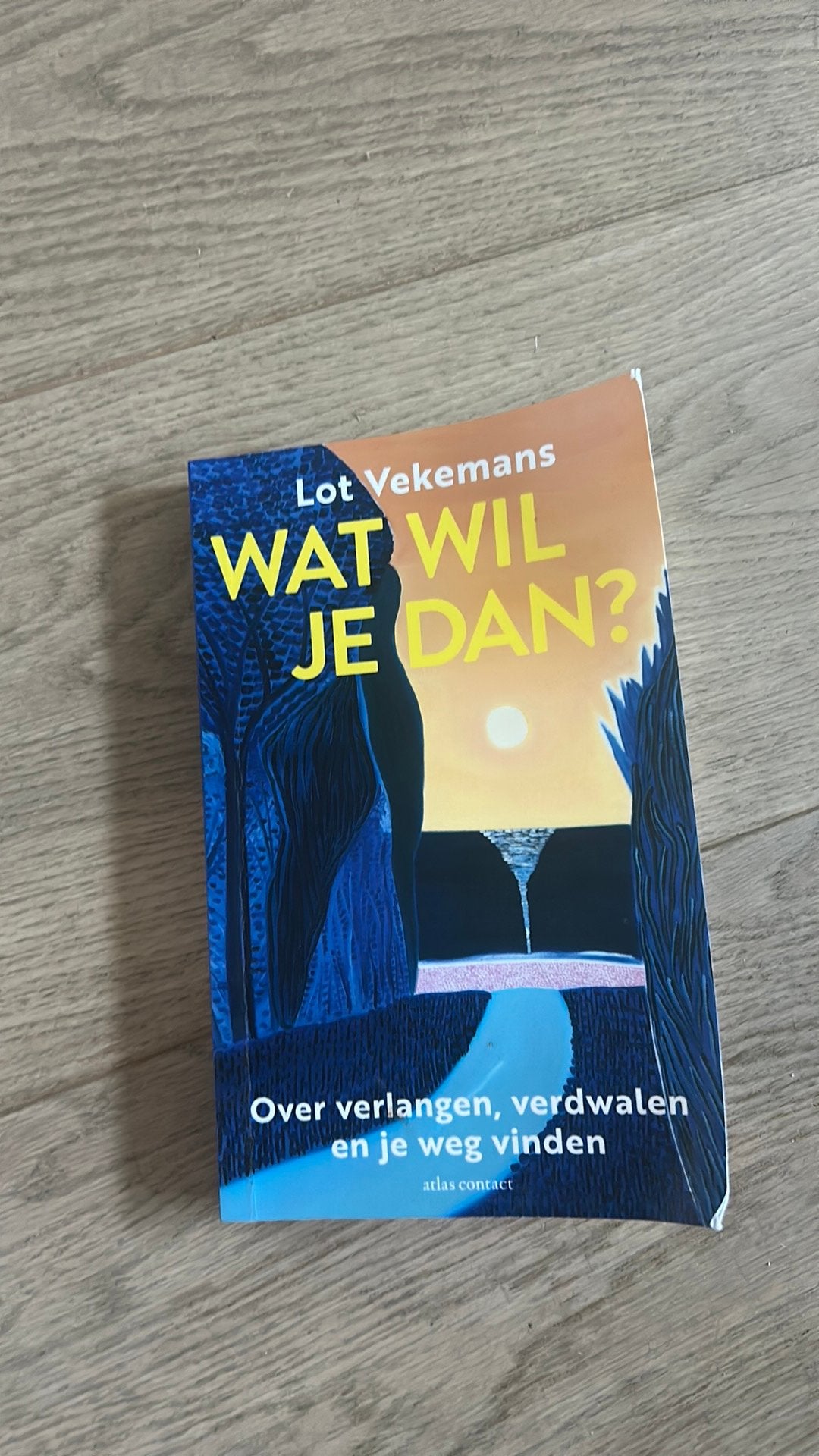 Lot Vekemans - Wat wil je dan?, Gelezen, Ophalen of Verzenden, Nederland, Lot Vekemans