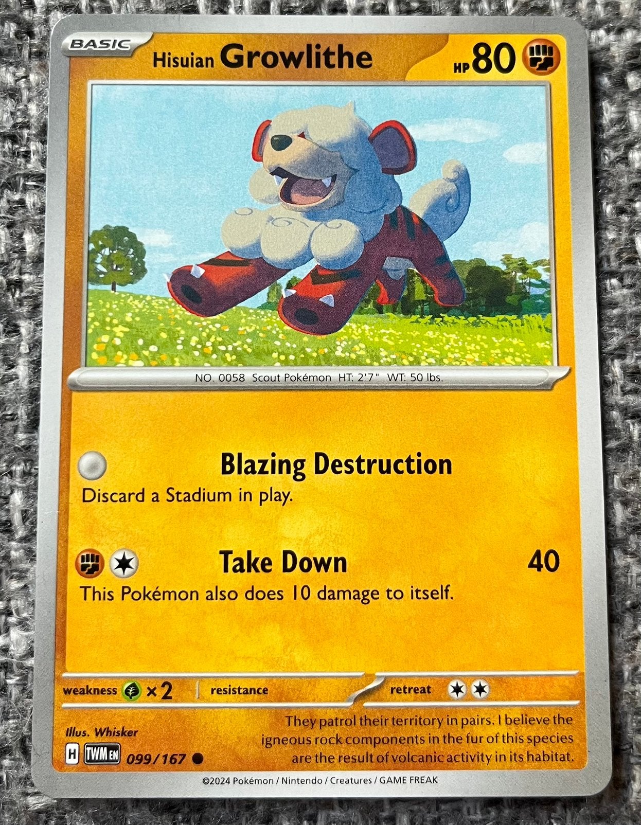 Pokémonkaart van Growlithe (058) • Twilight Masquerade, Verzenden, Nieuw, Losse kaart
