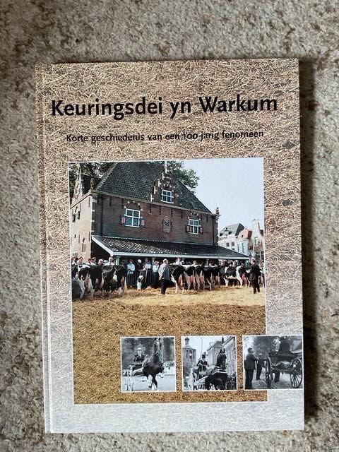 5 boeken van /over de Stad Workum, Ophalen of Verzenden, Zo goed als nieuw, Meerdere schrijvers