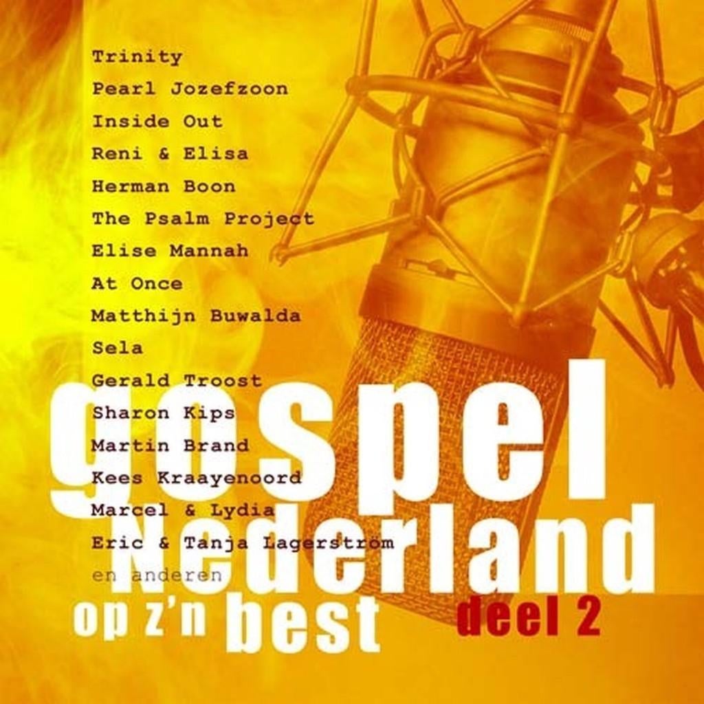 Gospel - Nederland op z'n best - Deel 2  Originele 2 CD., Cd's en Dvd's, Cd's | Religie en Gospel, Ophalen of Verzenden, Nieuw in verpakking