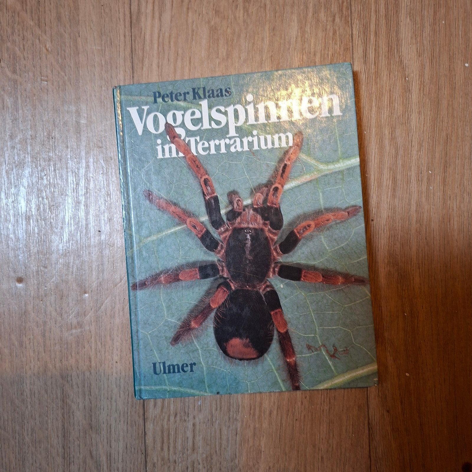 Vogelspinnen in Terrarium - Peter Klaas (Ulmer), Ophalen of Verzenden, Gelezen, Reptielen of Amfibieën, Peter Klaas