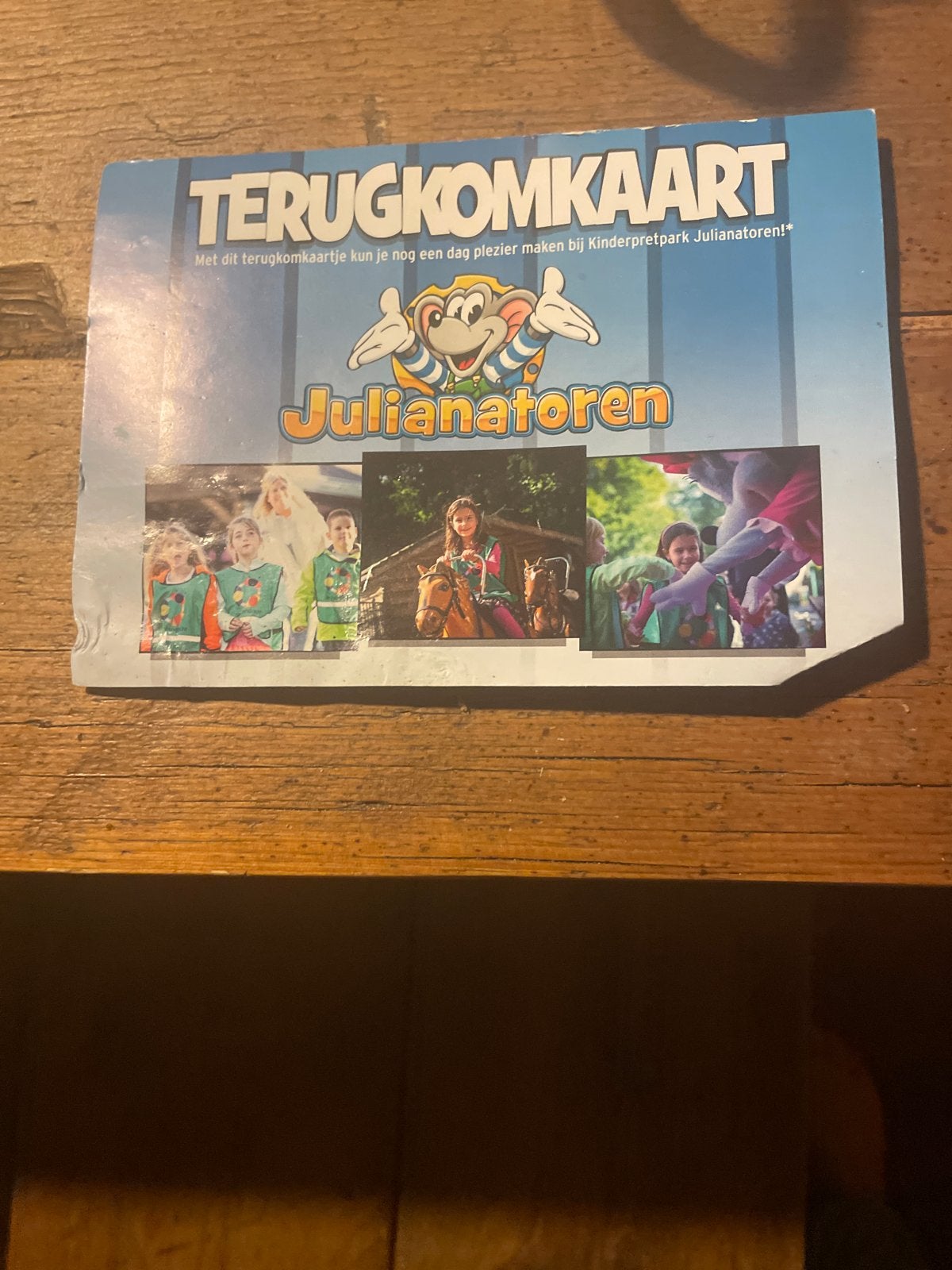 Terugkom ticket Julianatoren kind tot 12 jaar, Eén persoon, Ticket of Toegangskaart
