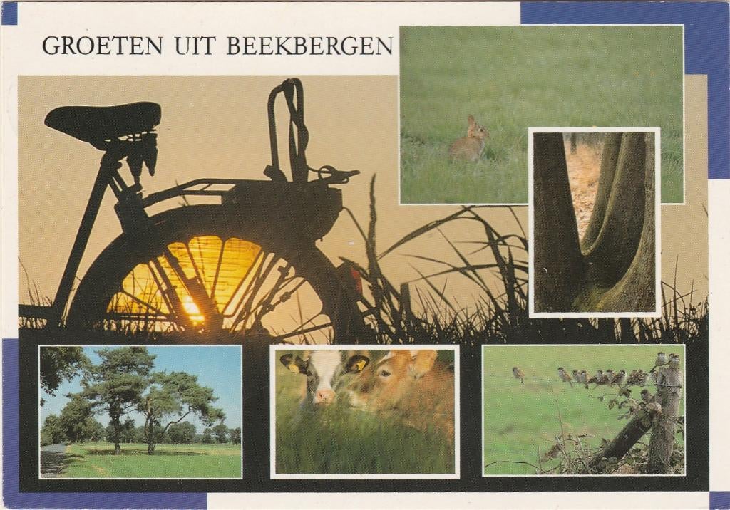 BEEKBERGEN Fiets Konijn Koe Vogels Landschap Groeten, Verzenden, 1980 tot heden, Gelopen, Gelderland