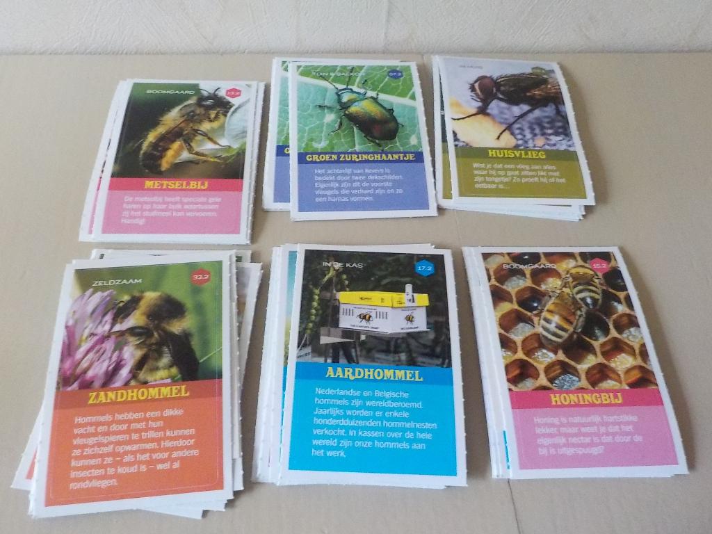 Albert Heijn / AH insectenplaatjes spaaractie 2019, Albert Heijn, Ophalen of Verzenden
