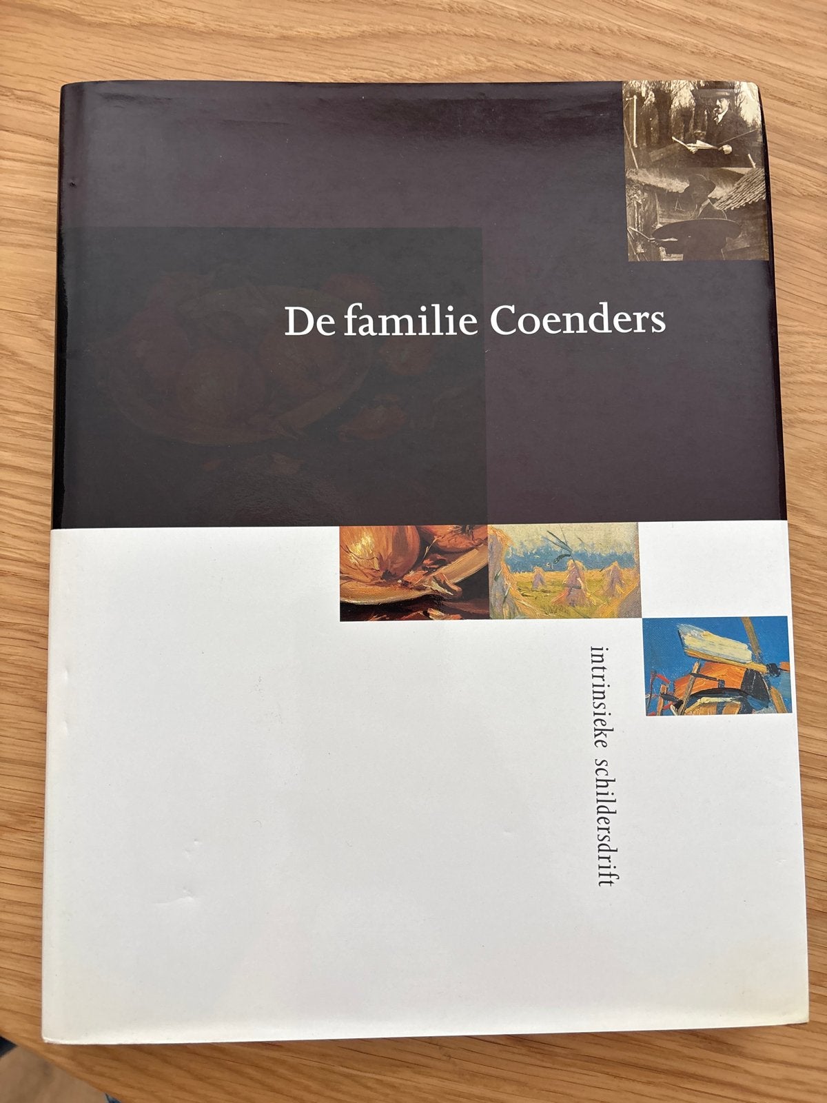 De familie Coenders: intrinsieke schildersdrift, Boeken, Kunst en Cultuur | Beeldend, Verzenden, Zo goed als nieuw, Schilder- en Tekenkunst
