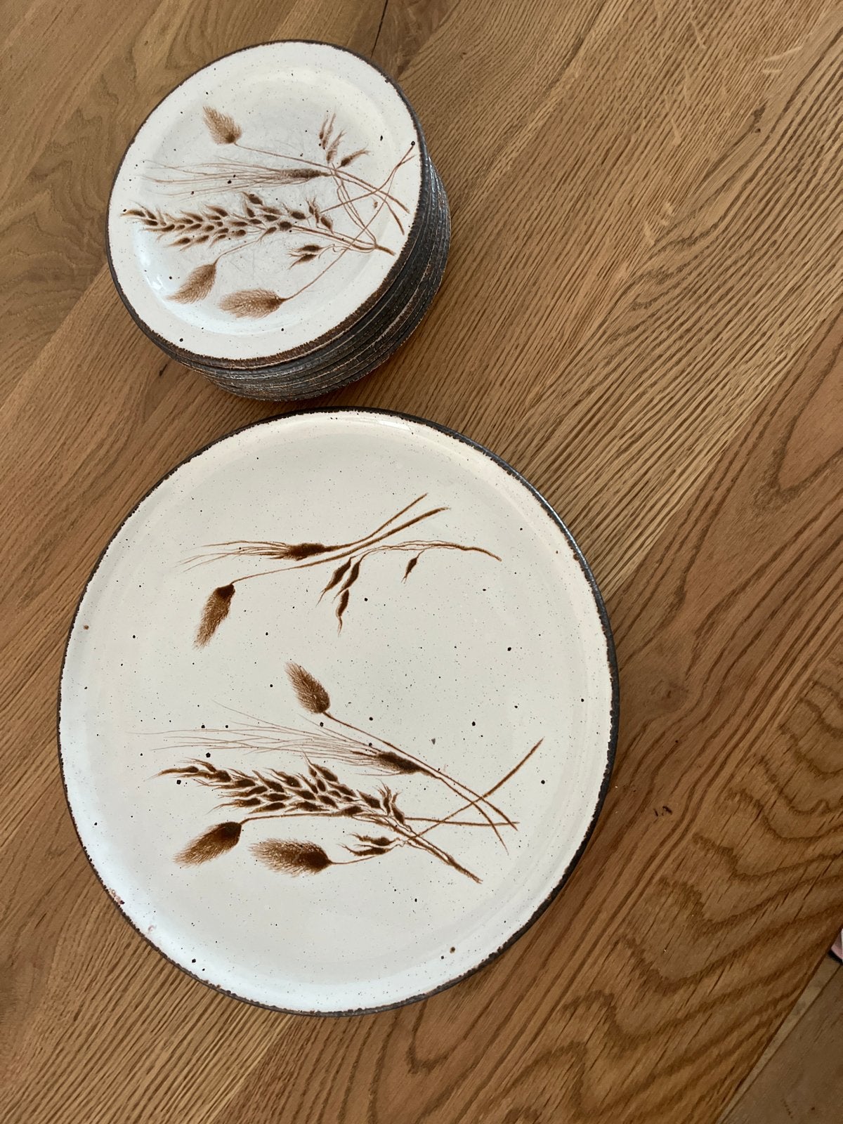 Wedgwood Wild Oats gebakstel - schaal met 8 bordjes, Ophalen of Verzenden