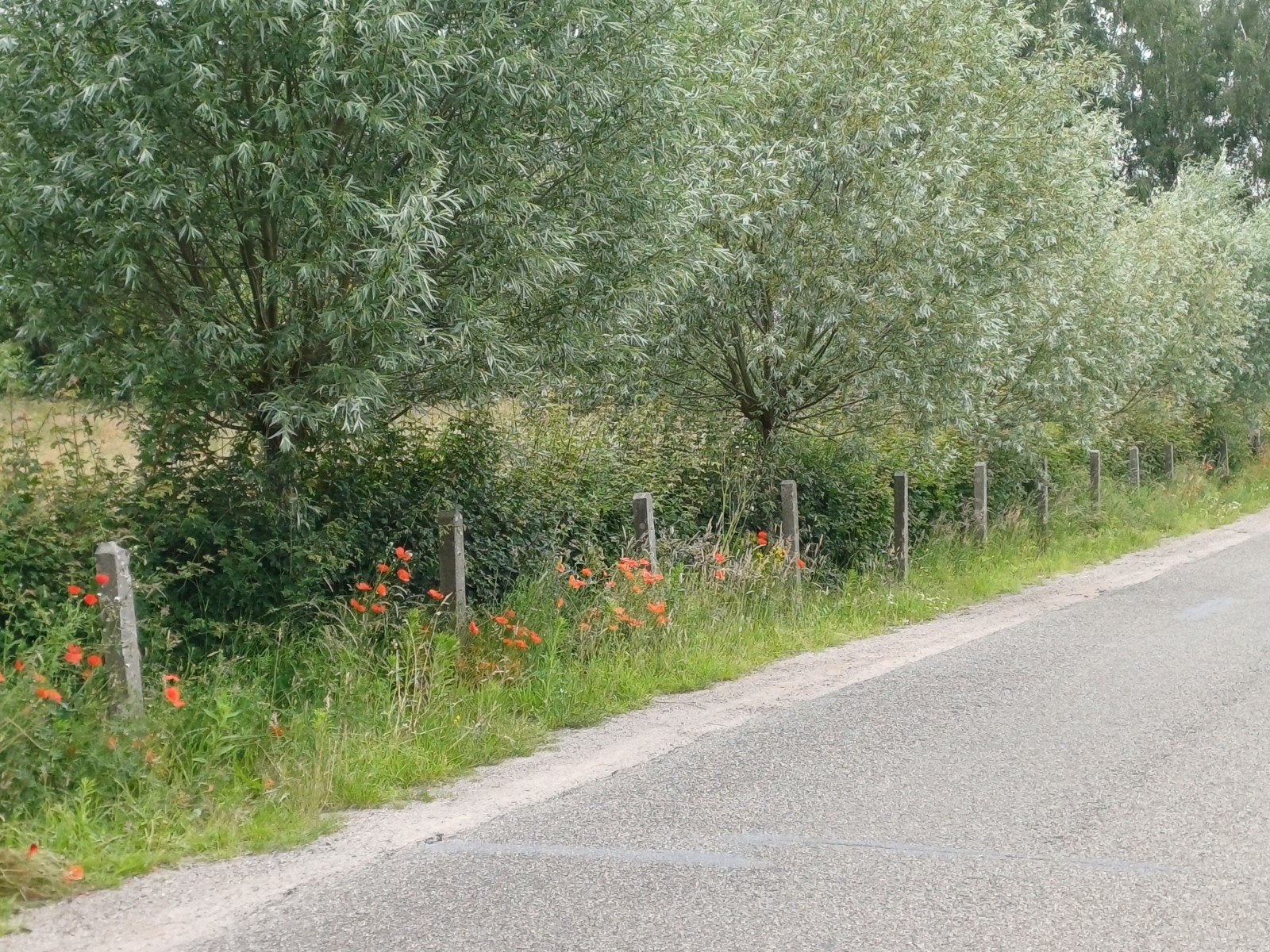 Betonnen palen voor diverse toepassingen, 10 stuks, Tuin en Terras, Palen, Balken en Planken, Ophalen, Gebruikt, 180 tot 250 cm