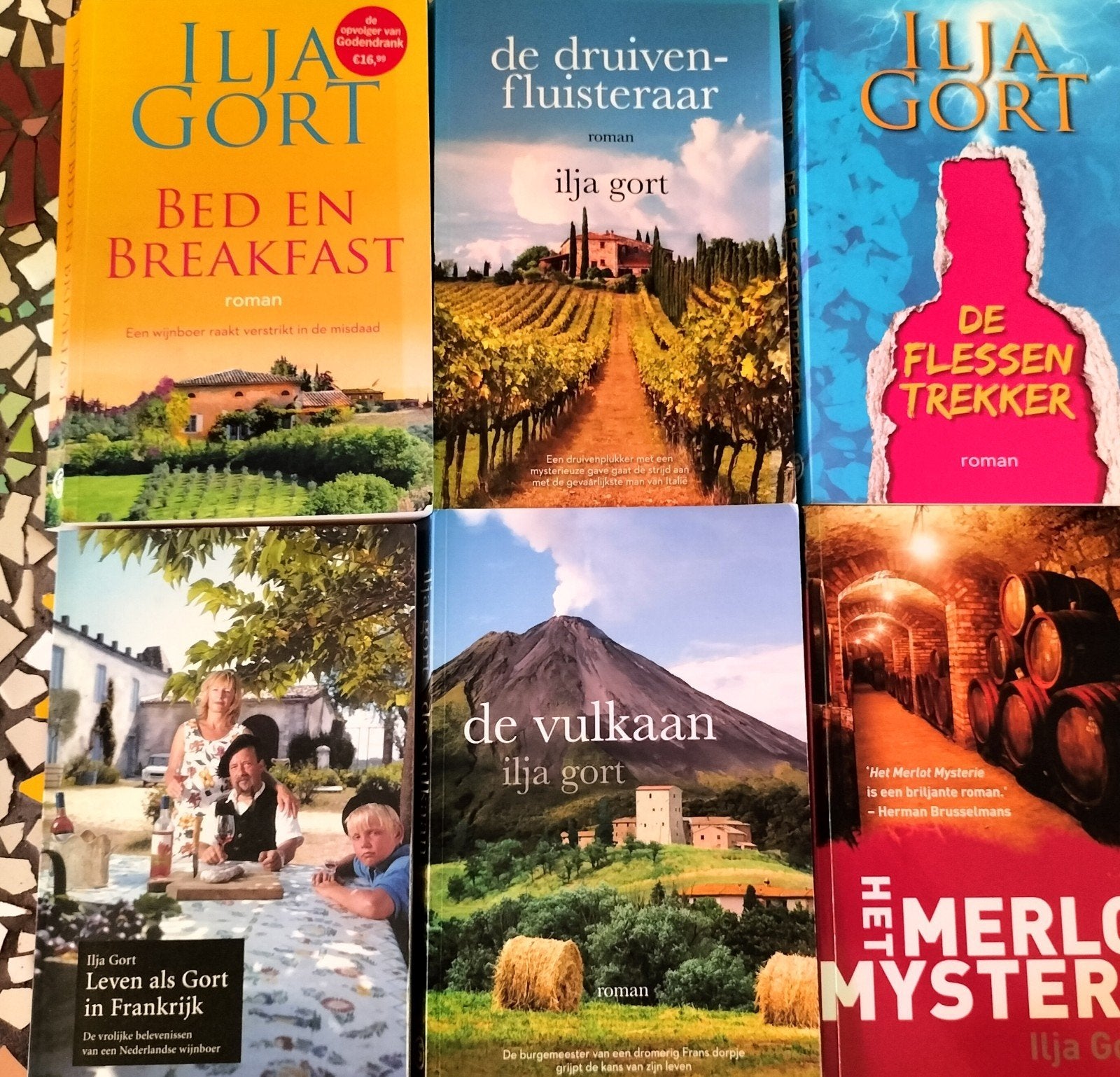Ilja Gort Boeken Collectie - 6 Romans en Levensverhaal, Ophalen of Verzenden, Gelezen, Ilja Gort, Nederland