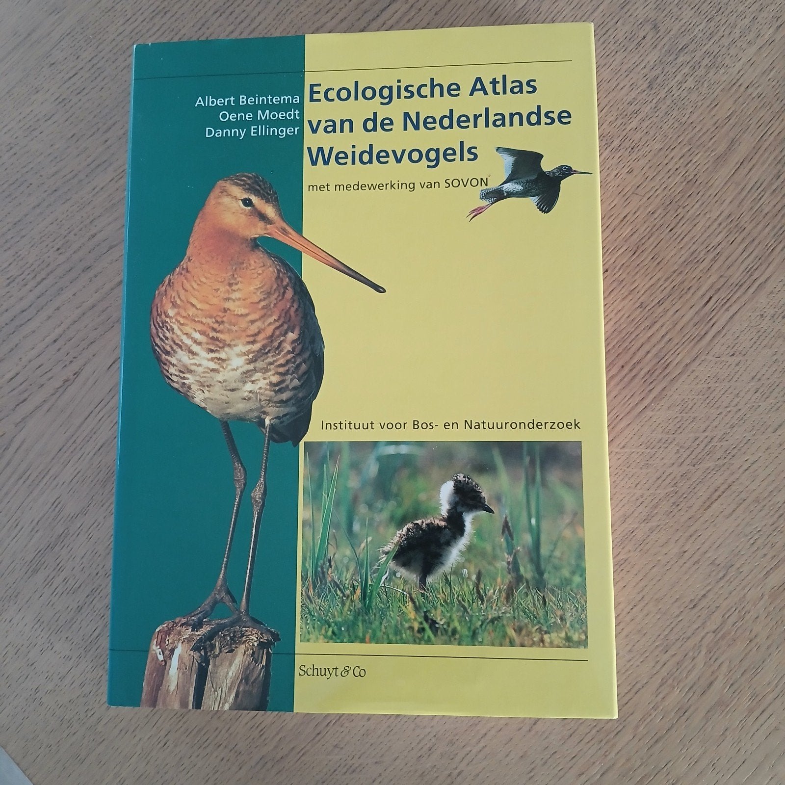Ecologische Atlas Nederlandse Weidevogels - Albert Beintema, Boeken, Ophalen, Zo goed als nieuw, Vogels, Albert Beintema, Oene Moedt, Danny Ellinger