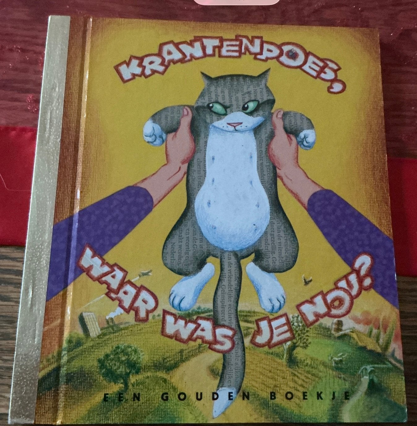 Een gouden boekje De krantenpoes zgan, Ophalen of Verzenden, Zo goed als nieuw, Fictie algemeen, Gouden boekje