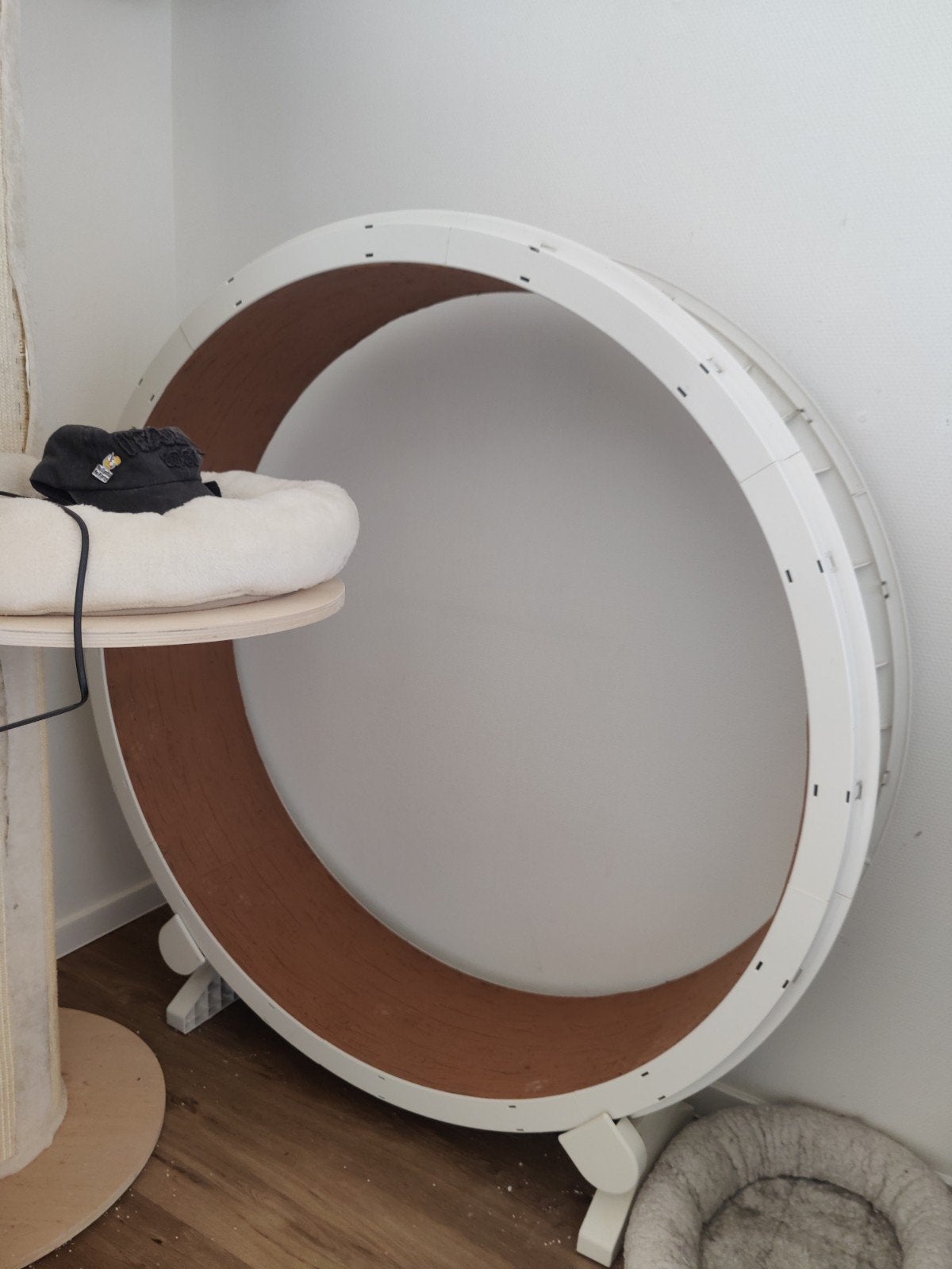 Cat wheel, Dieren en Toebehoren, Kattenspeelgoed, Ophalen