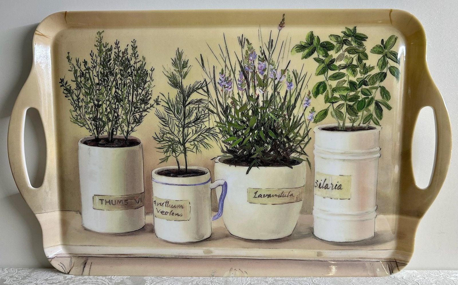 Dienblad met kruidenprint, Ophalen of Verzenden, Zo goed als nieuw, Rechthoekig, Kunststof
