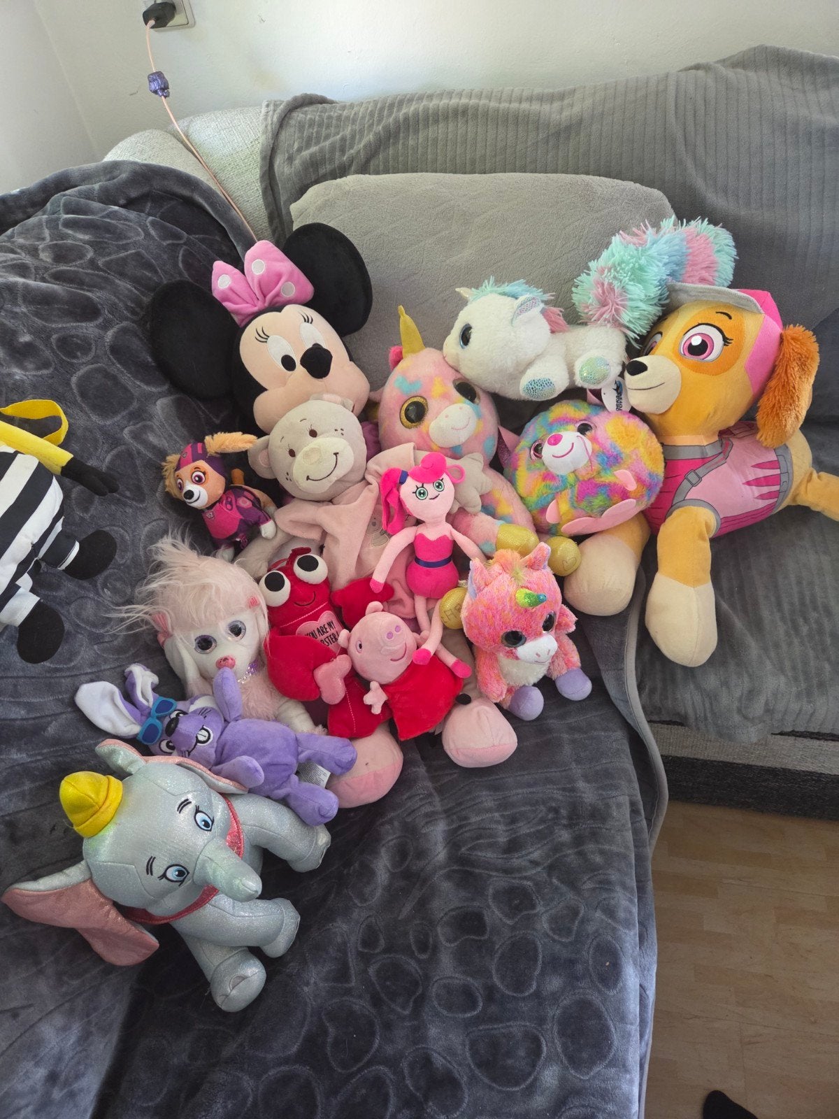 Grote collectie knuffels, gymtas en Minion rugzak, Ophalen, Gebruikt, Overige merken, Disney