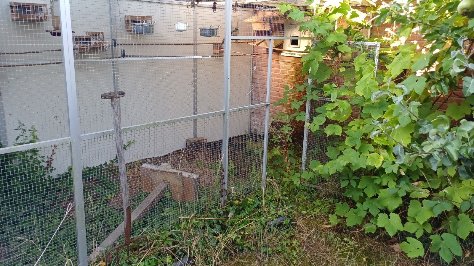 vogel  volière of katten ren in delen, Ophalen of Verzenden