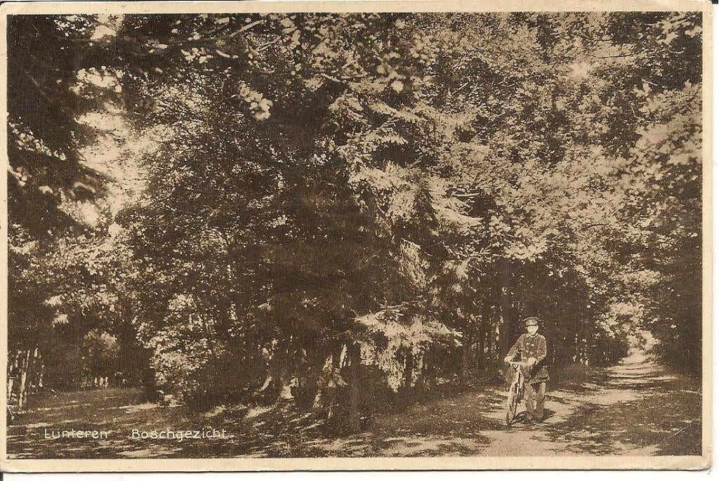 Lunteren Boschgezicht   Postbode, Verzamelen, Ophalen of Verzenden, 1920 tot 1940, Gelderland