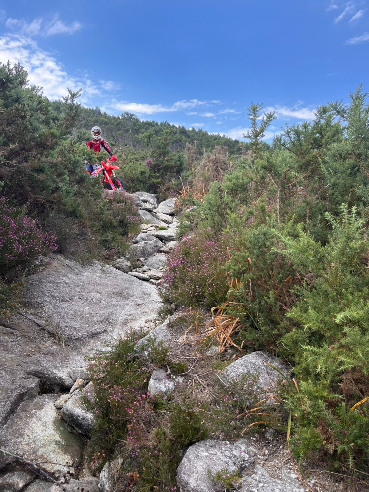 Najaar enduro in Noord-Portugal, huis + gids + Sherco 300 2T, Vakantie, 8 personen, 4 of meer slaapkamers, Porto en Noord-Portugal