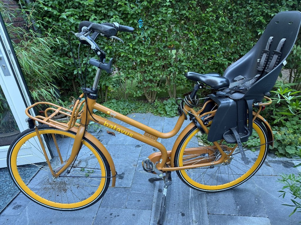 Moederfiets Batavus, Fietsen en Brommers, Ophalen, Gebruikt, Batavus, Versnellingen