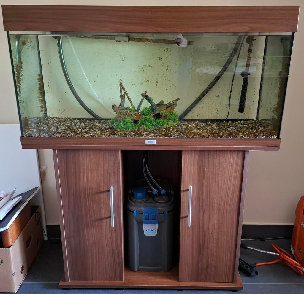 Juwel aquarium, Dieren en Toebehoren, Ophalen, Leeg aquarium, Juwel