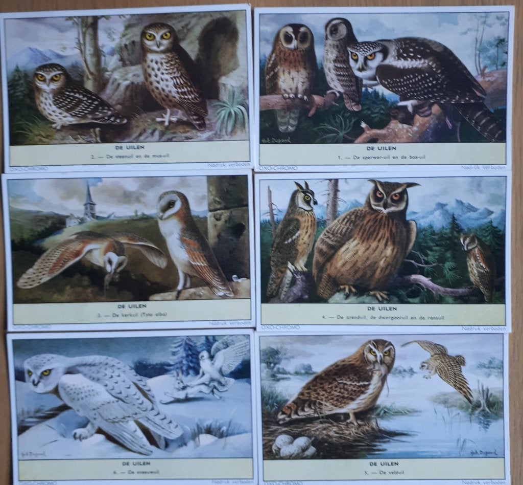 LIEBIG : cmpl. : DE UILEN Scarce Ed.NEDERLAND SG 1761 1961, Nieuw, Ophalen of Verzenden, Prent, Natuur