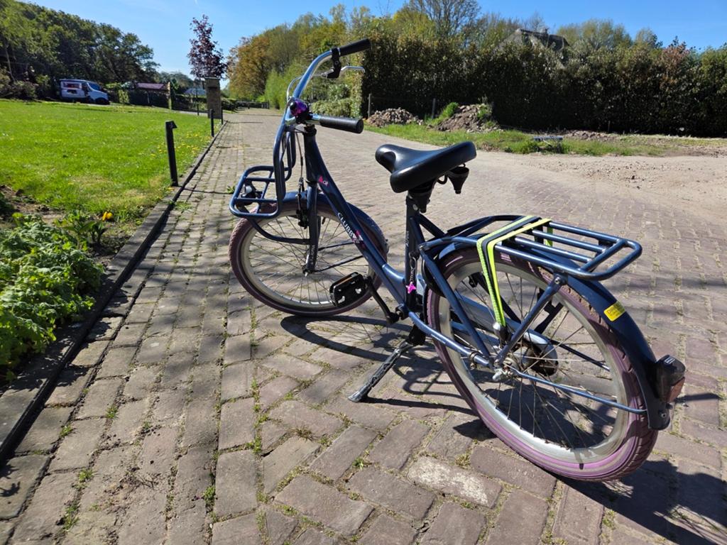 22 inch Alpina Clubb in een leuke kleur, Fietsen en Brommers, Fietsen | Tandems, Ophalen, Minder dan 10 versnellingen, Gebruikt
