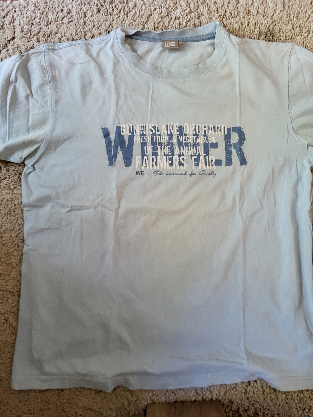 WE T-shirt - Maat L - Lichtblauw, Maat 52/54 (L), WE, Blauw, Ophalen of Verzenden